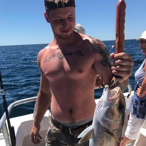 Meet your Posher, Mike